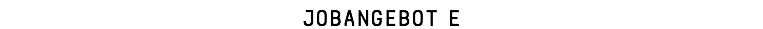 Jobangebot E